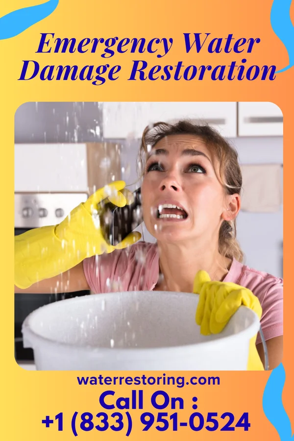 Emergency Water Damage Restoration in Little Rock, IA