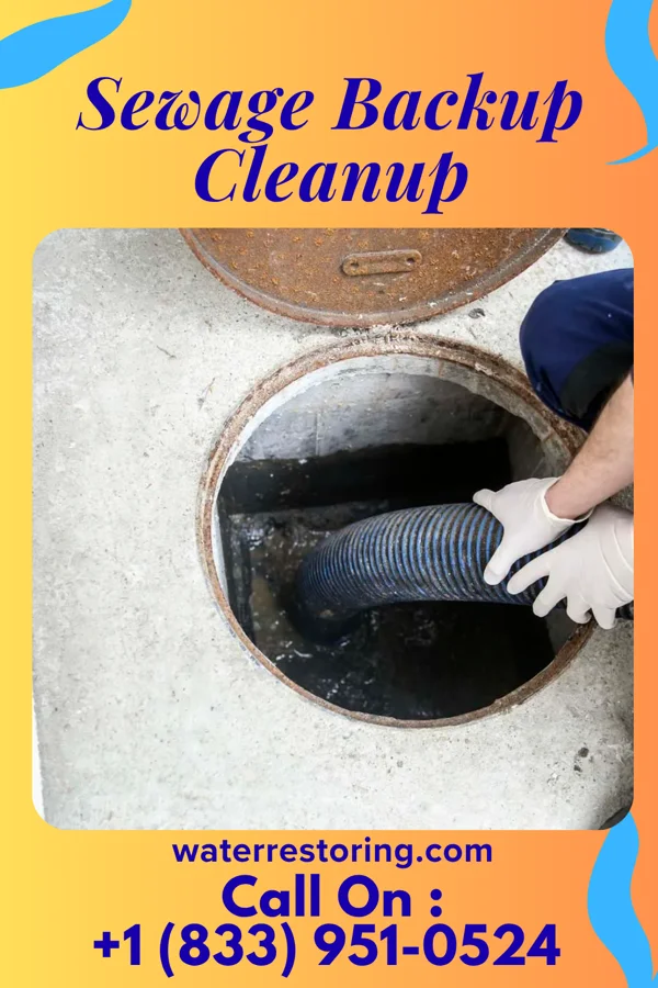 Sewage Backup Cleanup in Little Rock, IA